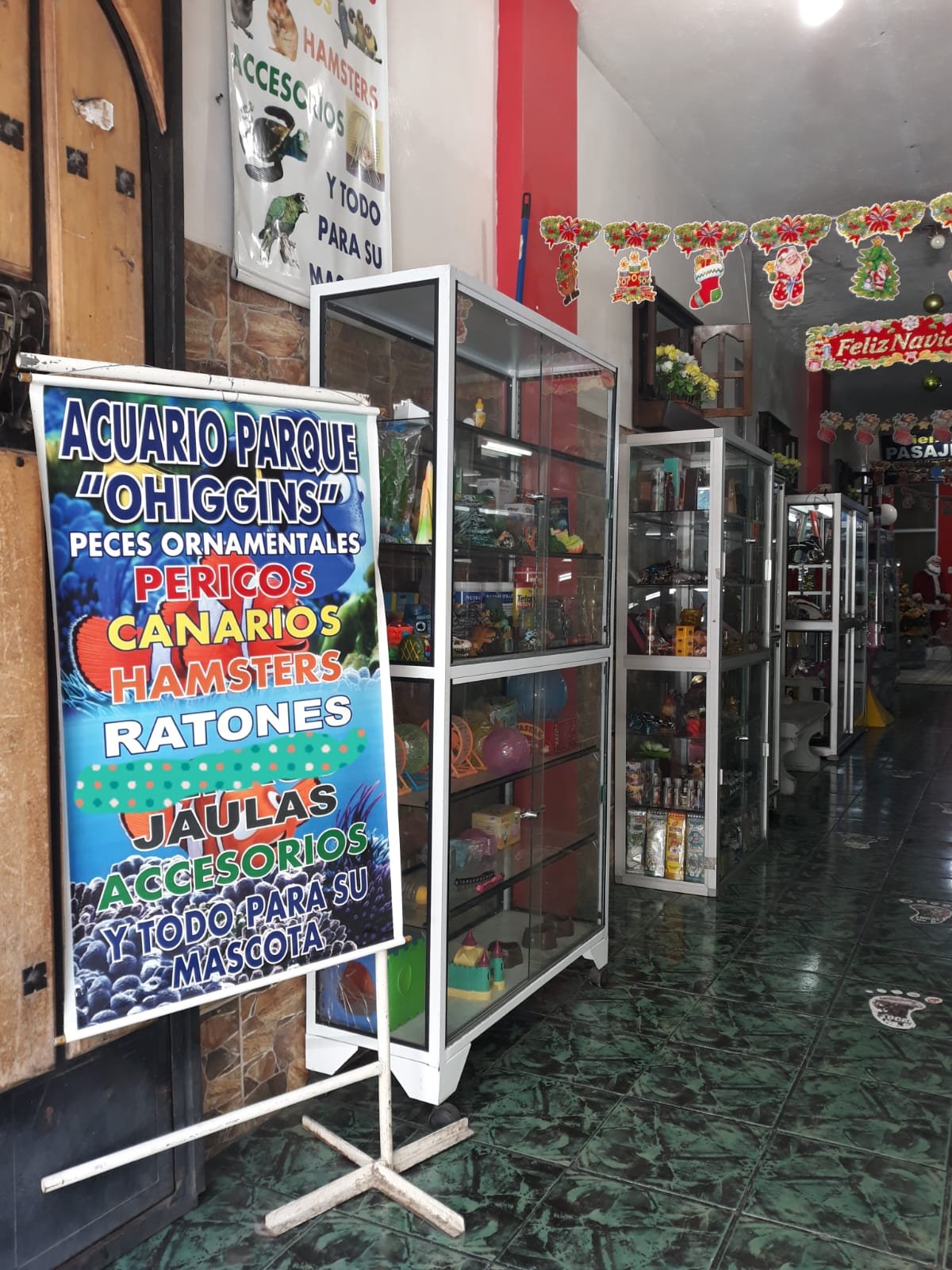 Instalaciones local