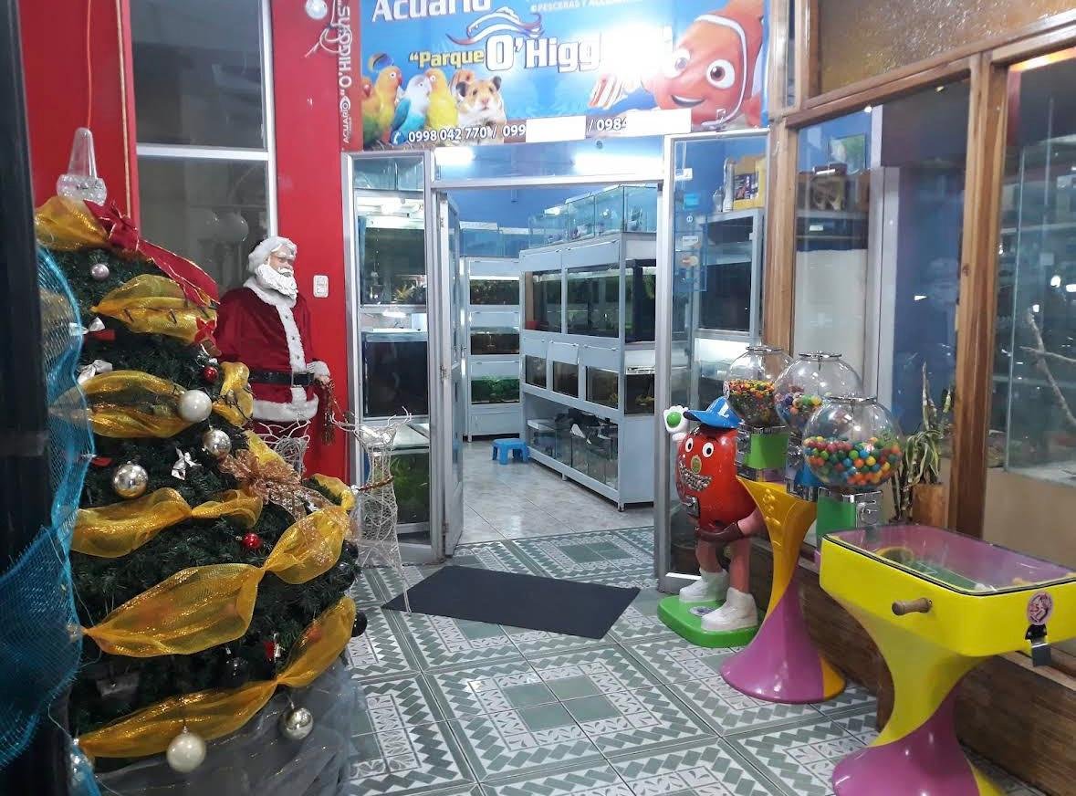 Instalaciones local
