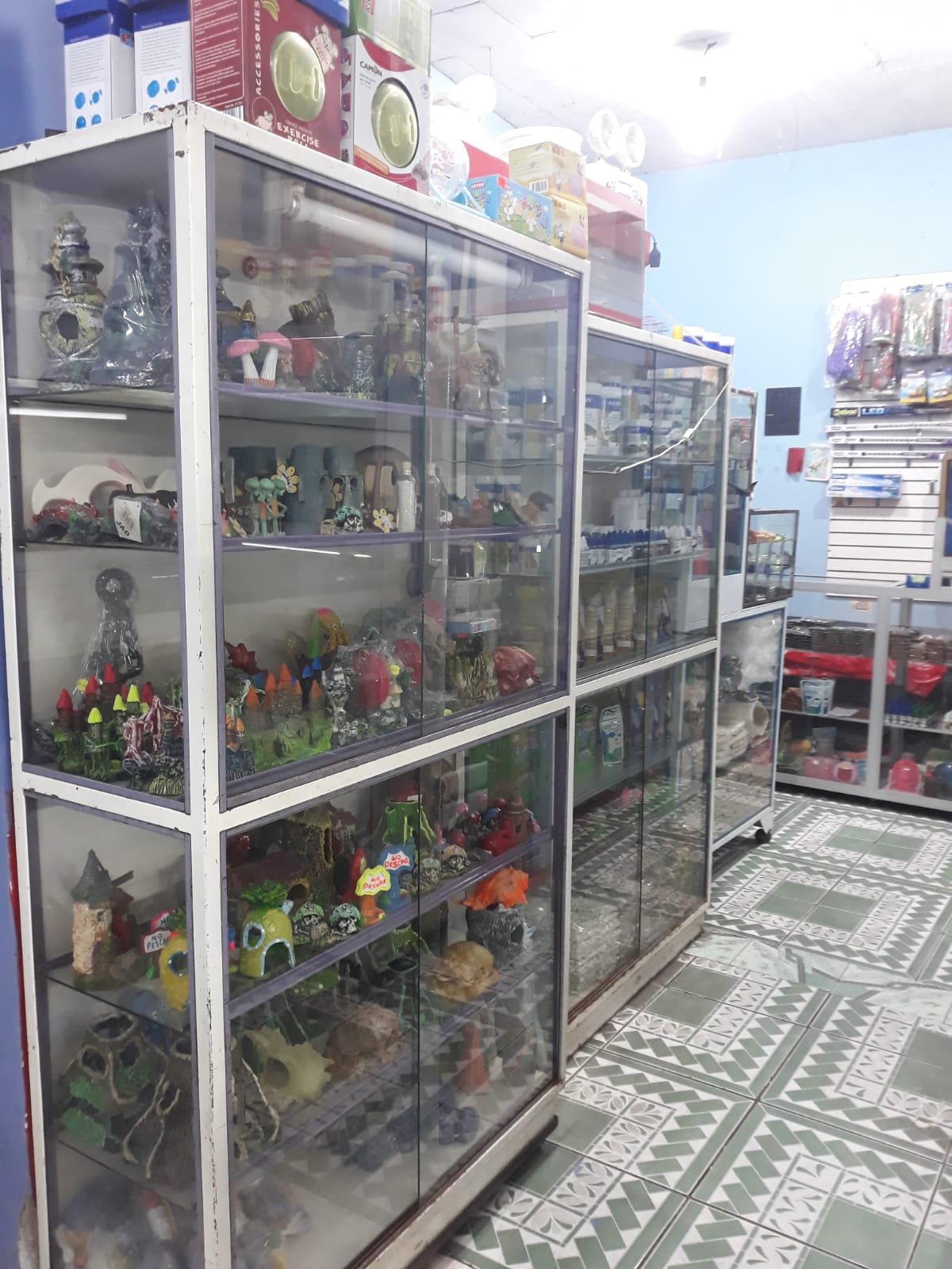 Asesoría en cuidados